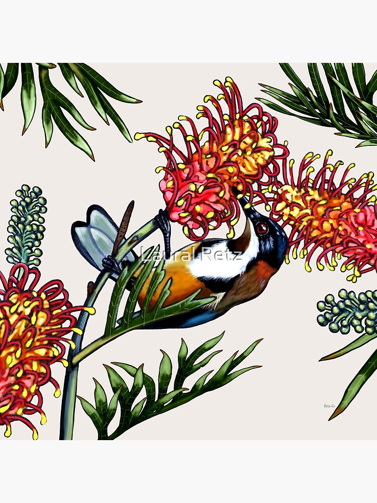Thumbnail 4 of 4, Pillow, Eastern Spinebill in Grevillea #1 by Australian artist Laural Retz designed and sold by lauralretz.