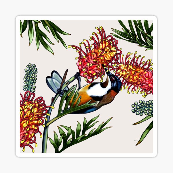 Item preview, Eastern Spinebill in Grevillea #1 by Australian artist Laural Retz designed and sold by Laural Retz.