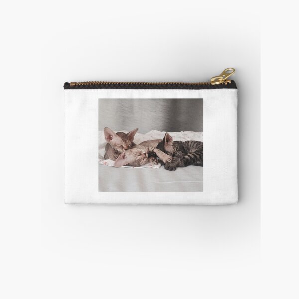 Item preview, Devon Rex Cat Kitten 007 designed and sold by devonrexcats.