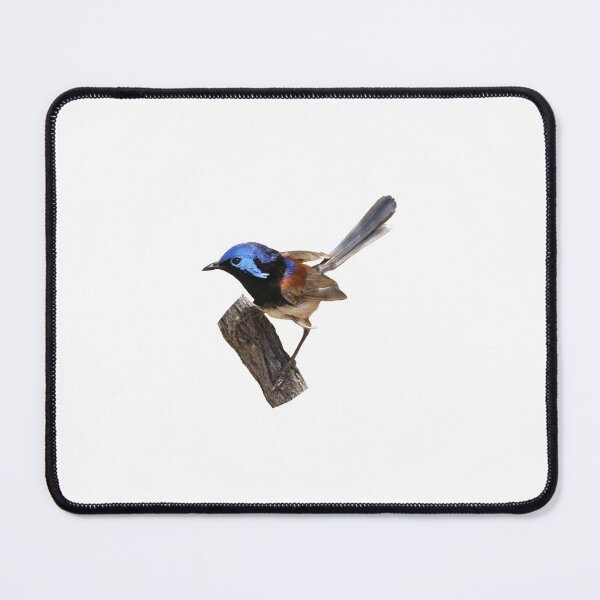 Item preview, Variegated Fairy-wren designed and sold by quentinjlang.