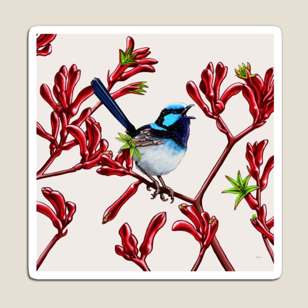 Blue Wren in Kangaroo Paws #1 by Australian artist Laural Retz Magnet