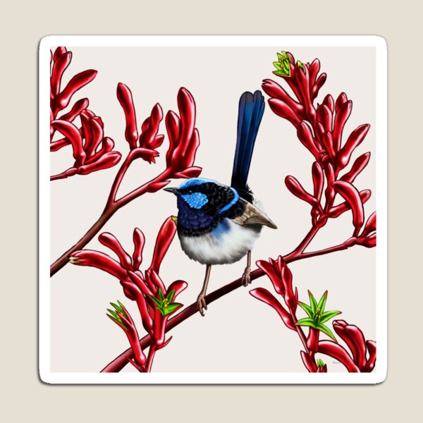 Blue Wren in Kangaroo Paw Flowers #2 by Australian artist Laural Retz Magnet