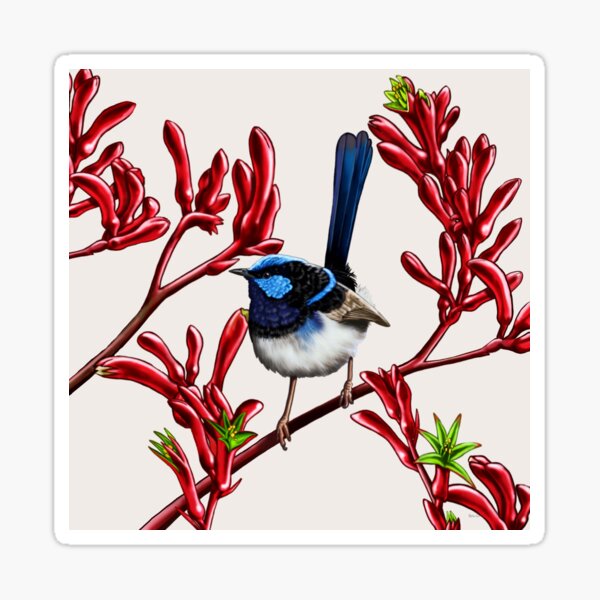 Blue Wren in Kangaroo Paw Flowers #2 by Australian artist Laural Retz Sticker