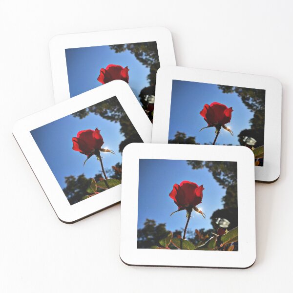 Item preview, Roses designed and sold by Matthew Carroll.