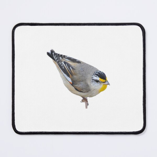Item preview, Striated Pardalote designed and sold by quentinjlang.