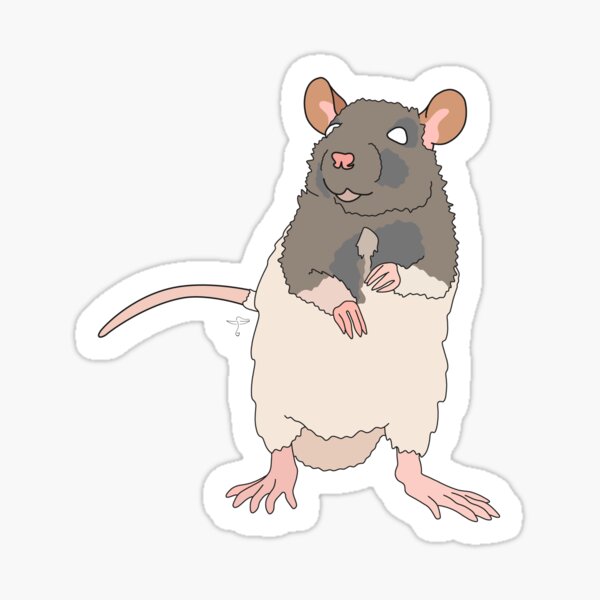 Lab Ratz Experiment 2 - Cartoon Rat - Sticker