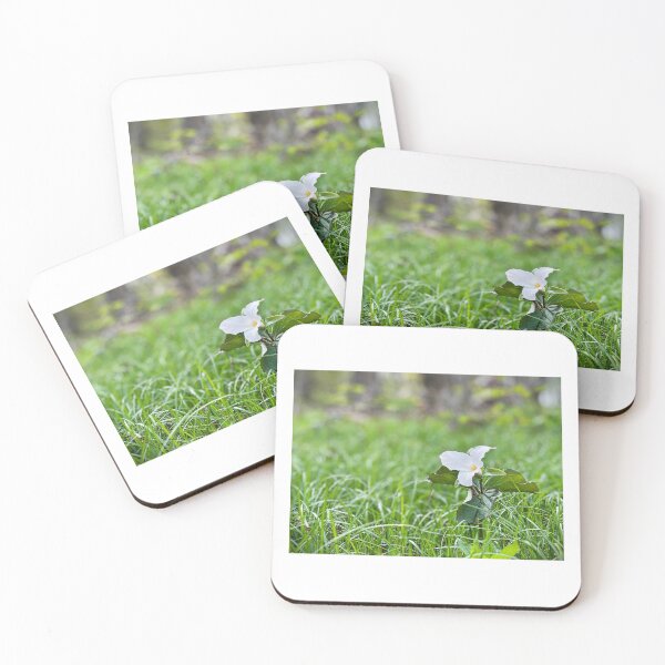 Item preview, Flowers designed and sold by Matthew Carroll.
