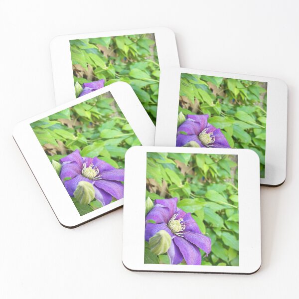 Item preview, Flowers designed and sold by Matthew Carroll.