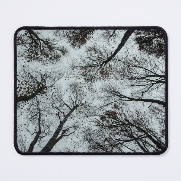 Item preview, Tree Silhouette from Below designed and sold by debjaynedesign.