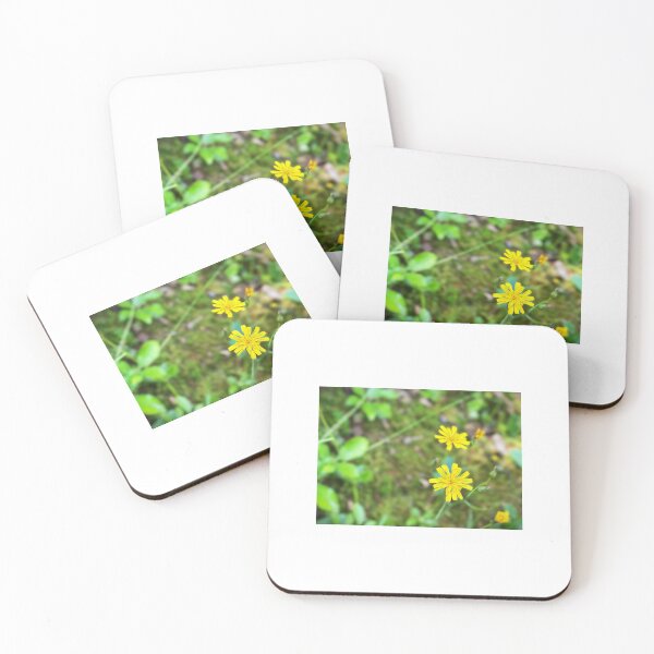 Item preview, Flowers designed and sold by Matthew Carroll.