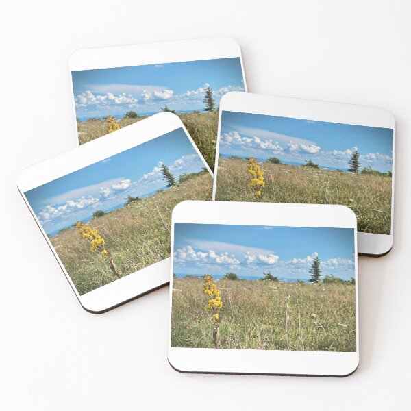 Item preview, Flowers designed and sold by Matthew Carroll.