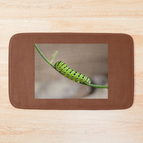 Item preview, I'm Going To Be An Eastern Black Swallowtail Butterfly When I Grow Up designed and sold by Lanis Rossi.