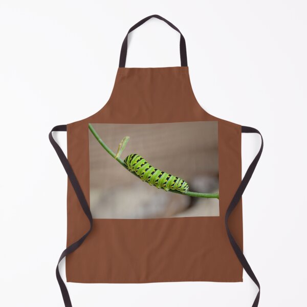 Item preview, I'm Going To Be An Eastern Black Swallowtail Butterfly When I Grow Up designed and sold by Lanis Rossi.