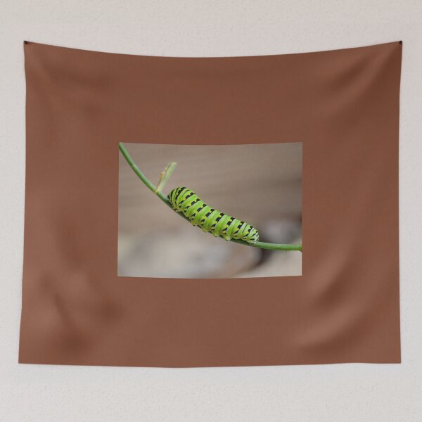 Item preview, I'm Going To Be An Eastern Black Swallowtail Butterfly When I Grow Up designed and sold by Lanis Rossi.
