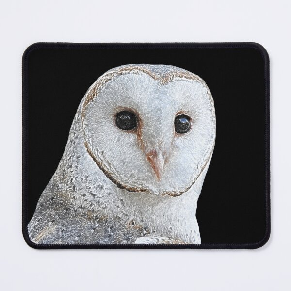 Item preview, Barn Owl face digital drawing designed and sold by quentinjlang.
