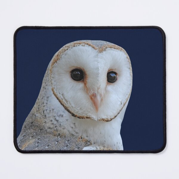 Item preview, Barn Owl face 3 designed and sold by quentinjlang.