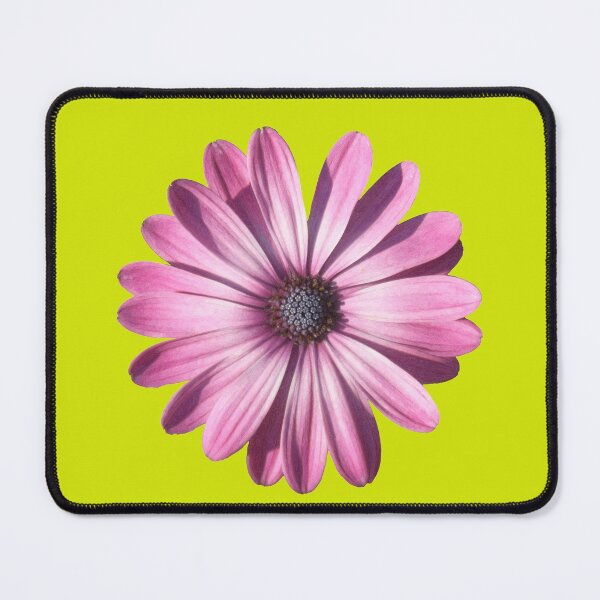 Spectacular African Daisy Isolated Mouse Pad