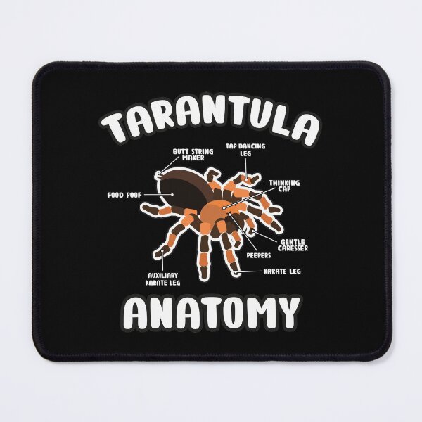 Item preview, Tarantula Anatomy B. Hamori Mexican Red Knee Spider Lover designed and sold by JessieJune.