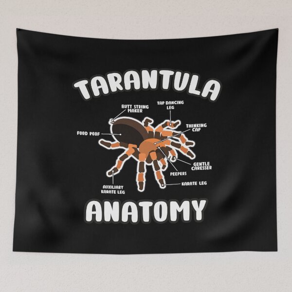 Item preview, Tarantula Anatomy B. Hamori Mexican Red Knee Spider Lover designed and sold by JessieJune.