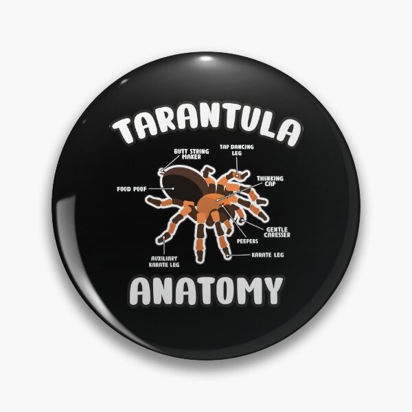 Item preview, Tarantula Anatomy B. Hamori Mexican Red Knee Spider Lover designed and sold by JessieJune.