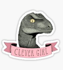 Clever Girl Sticker