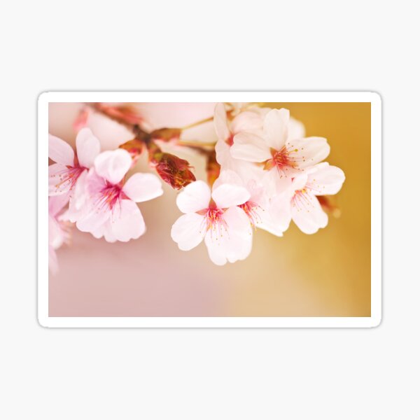 Item preview, Blooming fairy cherry tree flowers designed and sold by Arletta Cwalina.