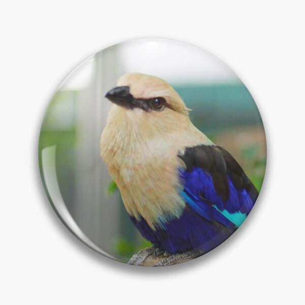 Item preview, Beautiful Bird designed and sold by ADHDalex.