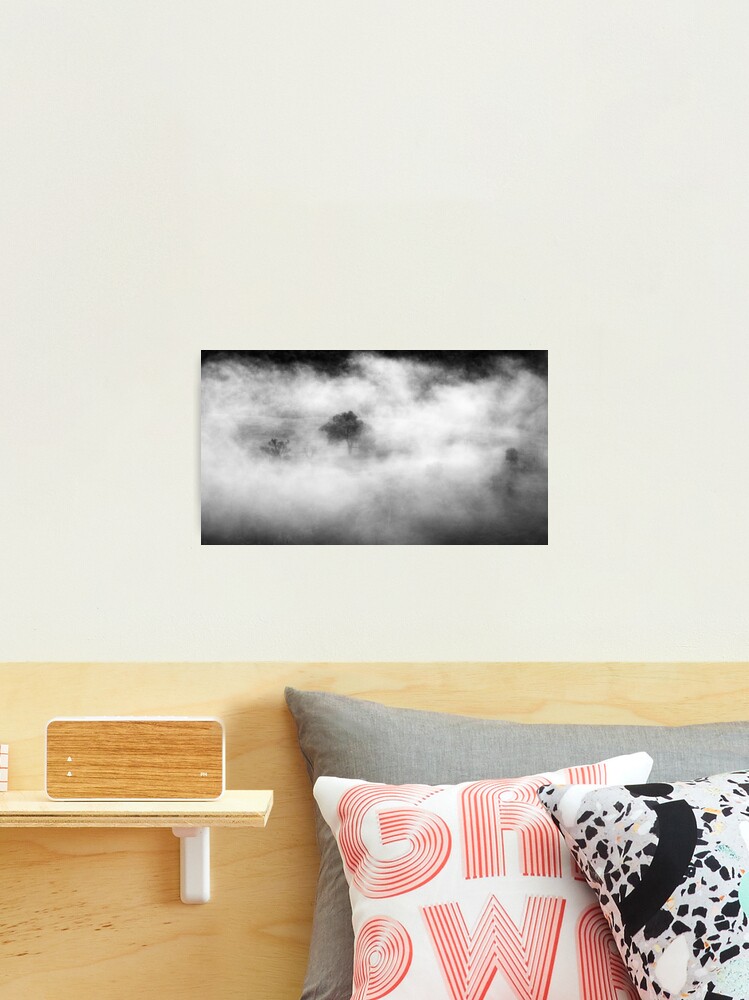 Thumbnail 2 of 3, Photographic Print, Trees In Fog designed and sold by AdrianAlford.