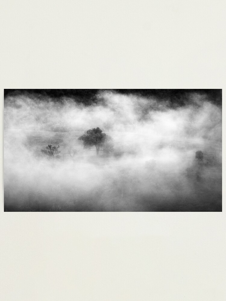 Alternate view of Trees In Fog Photographic Print