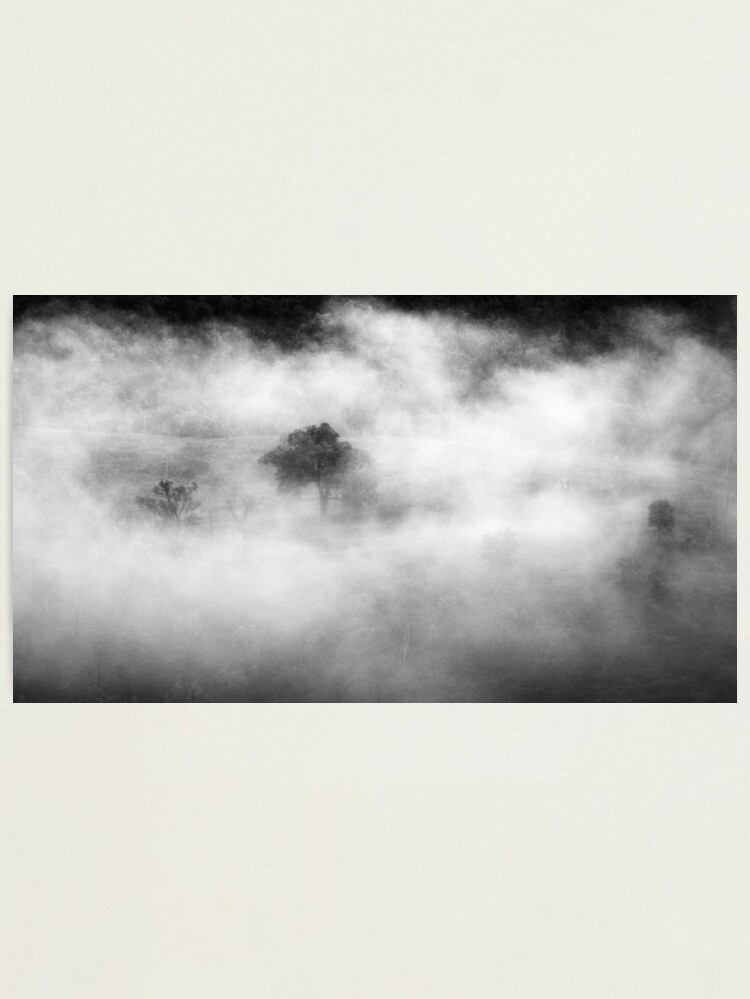 Thumbnail 1 of 3, Photographic Print, Trees In Fog designed and sold by AdrianAlford.