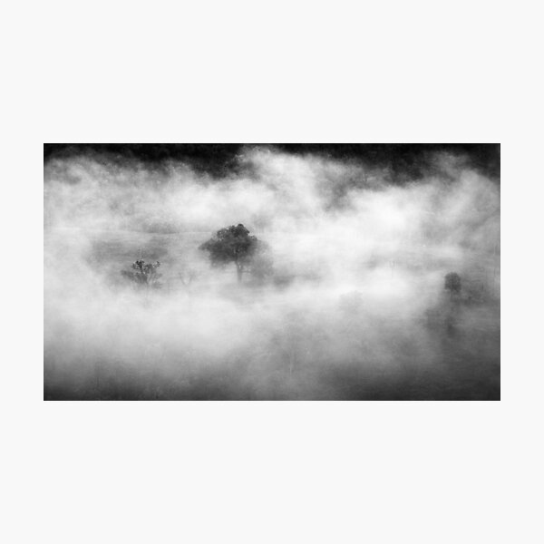 Photographic Print