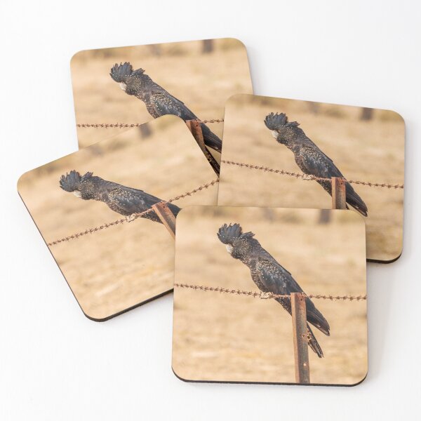 Item preview, Black Cockatoo designed and sold by Peter Hocking.