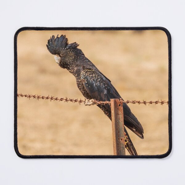 Item preview, Black Cockatoo designed and sold by Peter Hocking.