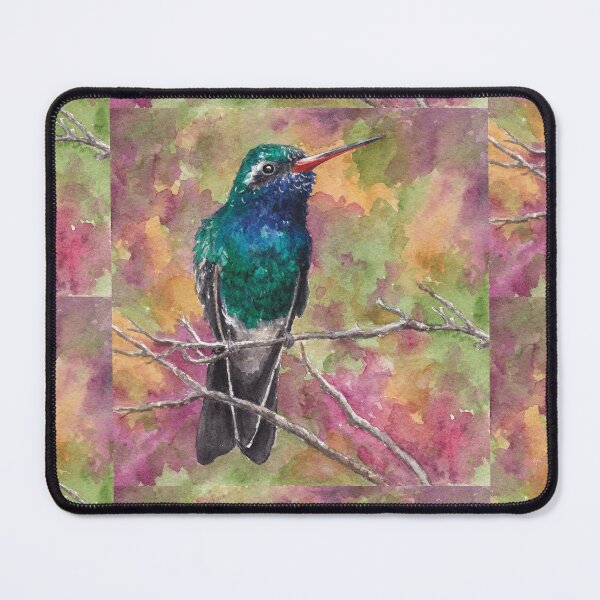 Item preview, Broad-Billed Hummingbird, Sonoran Desert designed and sold by tracyannholmes.