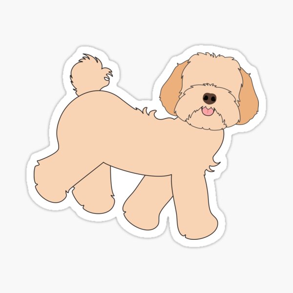 "Cute Cream Apricot Maltipoo Moodle Dog" Sticker for Sale by