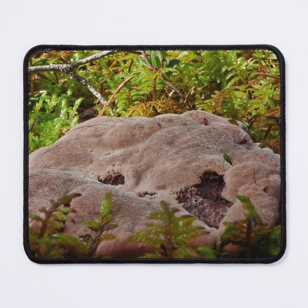 Item preview, Flat and low. Fused polypore designed and sold by Jouko Lehto Photography.