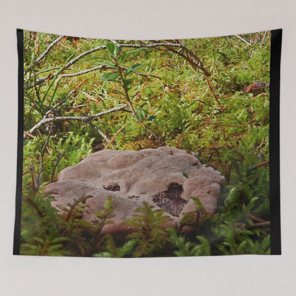 Item preview, Flat and low. Fused polypore designed and sold by Jouko Lehto Photography.