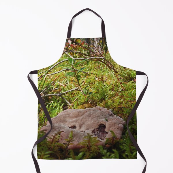 Item preview, Flat and low. Fused polypore designed and sold by Jouko Lehto Photography.