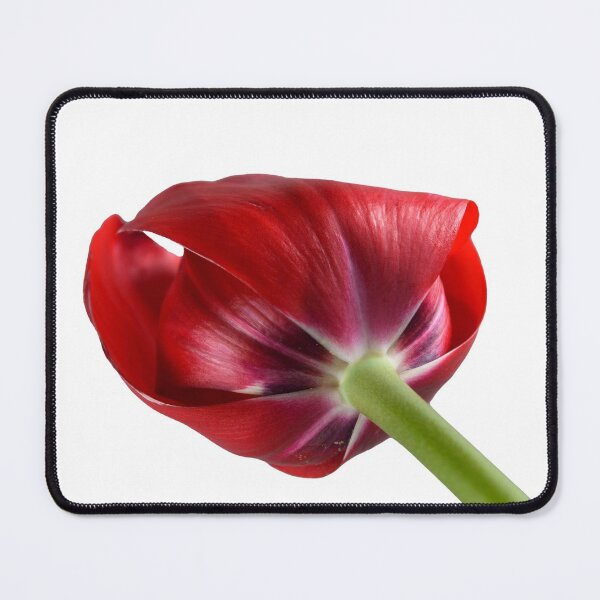 Item preview, Red Tulip designed and sold by Dreamscape Eclectic .