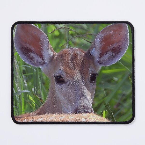 Item preview, Deer, What Big Ears designed and sold by Jeffrey Mask.
