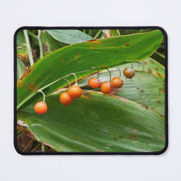Item preview, Orange berries of the Lily of the valley designed and sold by Jouko Lehto Photography.
