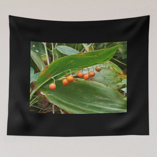 Item preview, Orange berries of the Lily of the valley designed and sold by Jouko Lehto Photography.