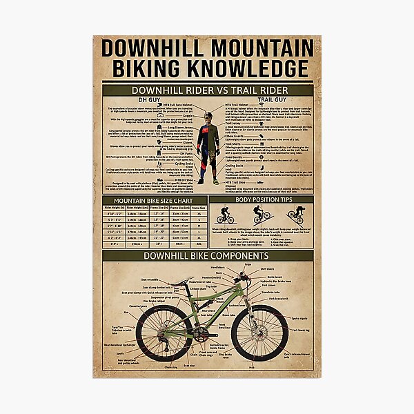 downhill bike sizing