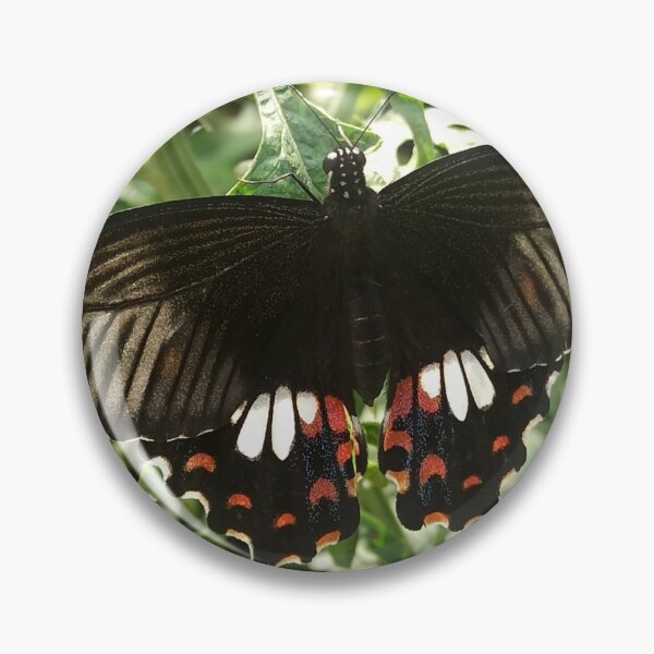 Item preview, Butterfly  designed and sold by khaanju.