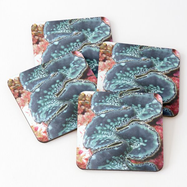 Item preview, Close up of Clam designed and sold by Kellen Barnes.