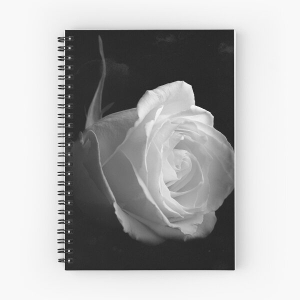 Item preview, Timeless beauty designed and sold by ROY MCPEAK.