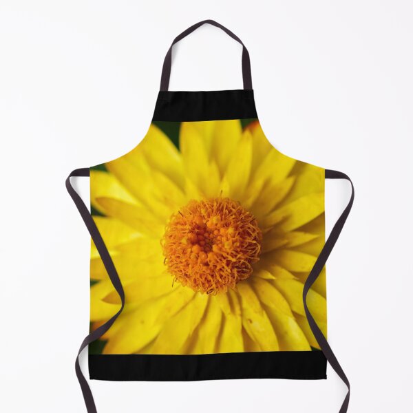 Item preview, Strawflower close-up designed and sold by Jouko Lehto Photography.