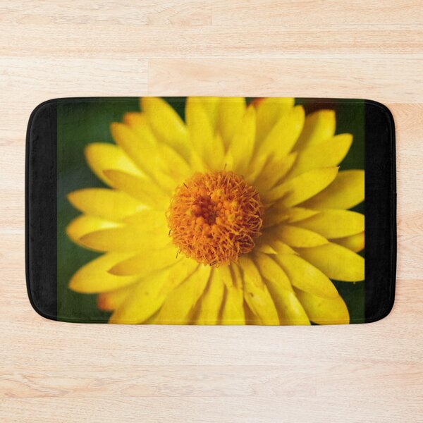 Item preview, Strawflower close-up designed and sold by Jouko Lehto Photography.