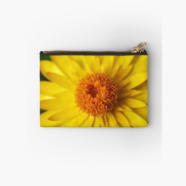 Item preview, Strawflower close-up designed and sold by Jouko Lehto Photography.