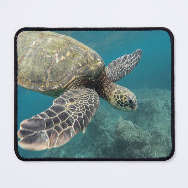 Item preview, Nature's Sea Turtle Underwater in blue green water - in Ocean - Marine Life designed and sold by guitarkel.